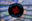 West Lake Aquatics logo