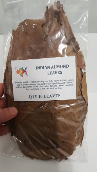 Indian Almond Leaves 10PK